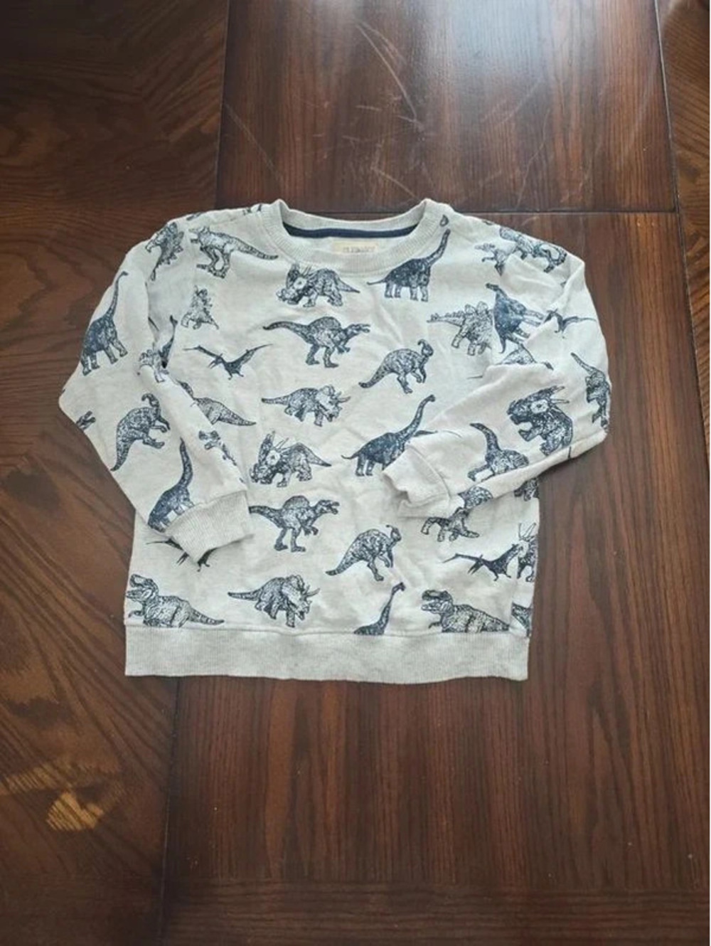 Alex and Jack dinosaur sweater 🦕